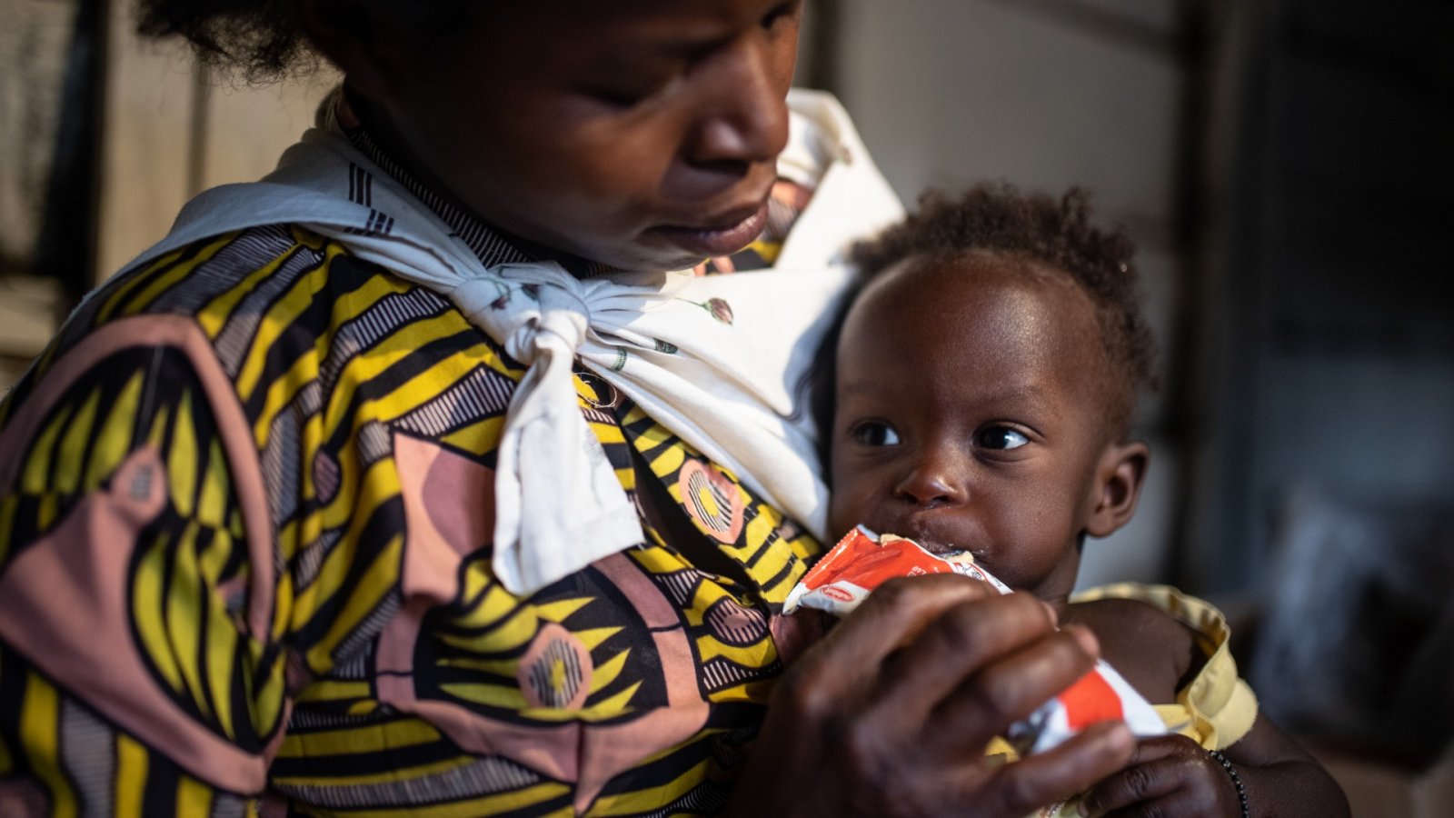 Programme intégré d'assistance humanitaire et de relèvement précoce — sécurité alimentaire et nutrition, moyens d'existence, accès aux soins, protection communautaire